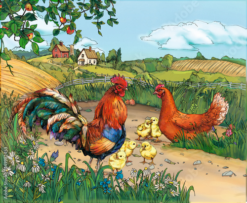 rooster and hen and chickens