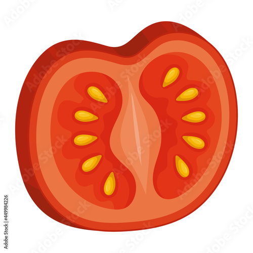 tomato slice illustration
