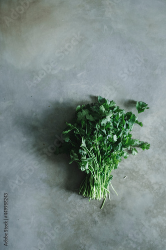 Bunch of cilantro on a concrete table