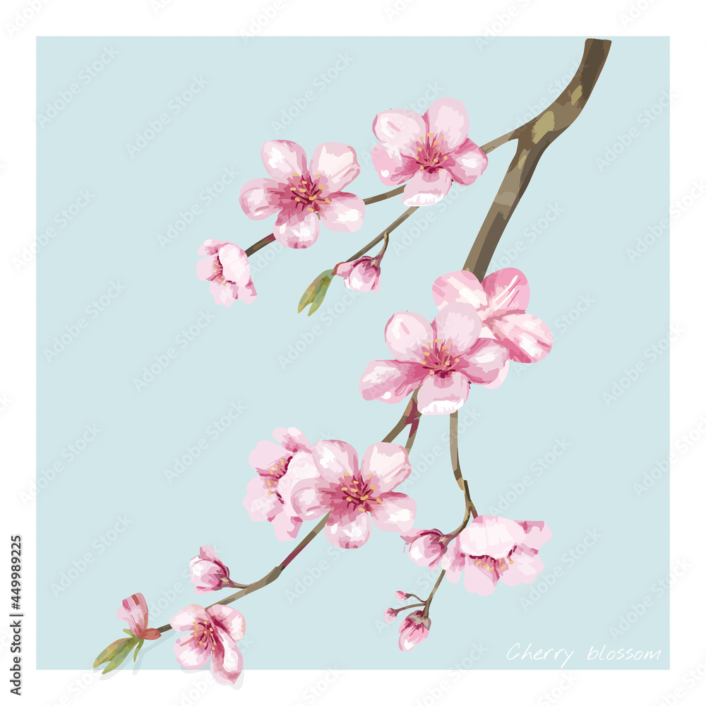 Hand drawn cherry blossom flower illustration Hand drawn cherry blossom flower illustration