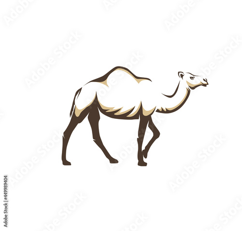 arabic camel animal vector illustration