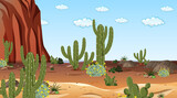 Desert forest landscape at daytime scene with many cactuses