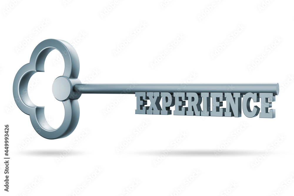 Experience and competence concept with key - 3d rendering Experience and competence concept with key - 3d rendering