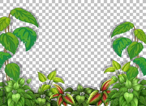Various tropical leaves on transparent background
