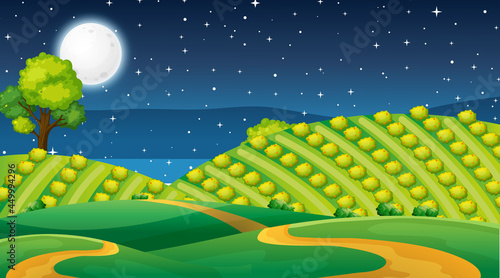 Blank nature park landscape at night scene