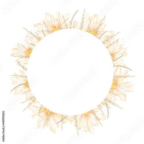 Watercolor hand drawn nature circle frame with illustration of chamomile flowers  herbs. Floral wreath bouquet isolated on white background. Perfect for invite  greeting card with space for text.