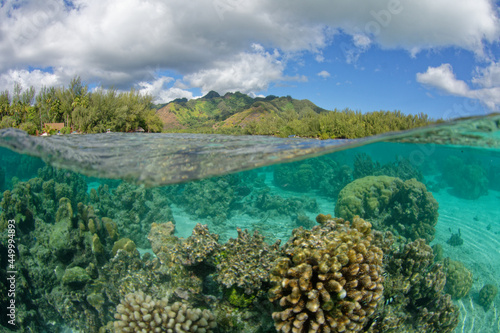 lagon de moorea - polynesie francaise © bru