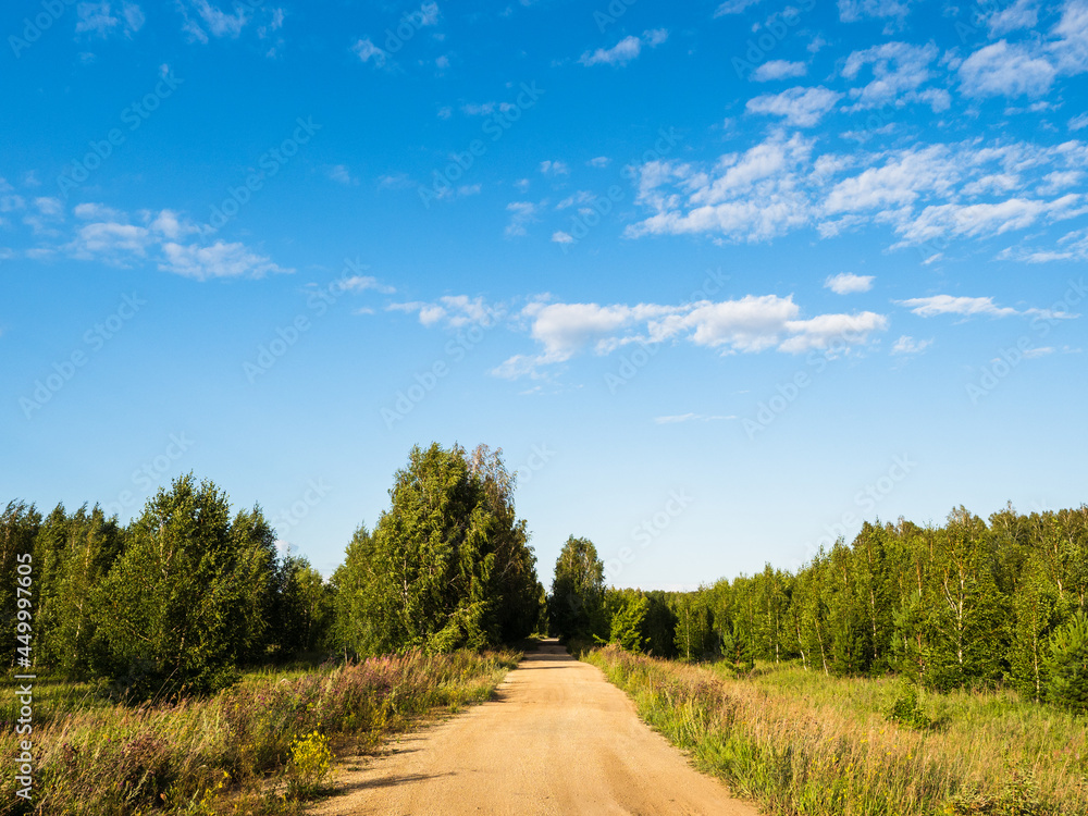 A rural road among grass, forest and blue summer sky