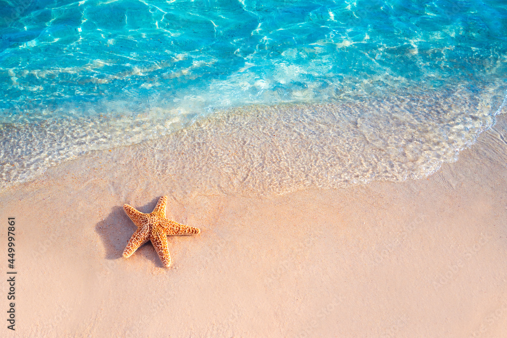 Starfish on the summer beach in sea water. Summer background. Summer