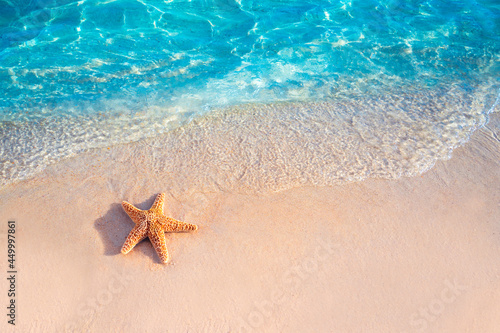 Fototapeta Naklejka Na Ścianę i Meble -  Starfish on the summer beach in sea water. Summer background. Summer time.Copy space.