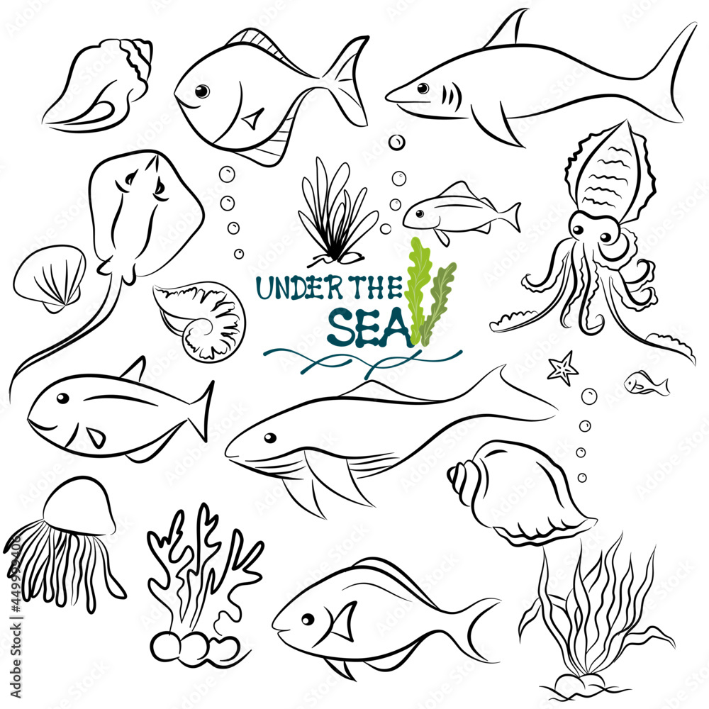 Fototapeta premium doodle style hand drawn, Fish and wild marine animals in ocean. Sea world dwellers, cute underwater creatures, coral reef inhabitants in their natural habitat, undersea fauna of tropics. Flat cartoon 