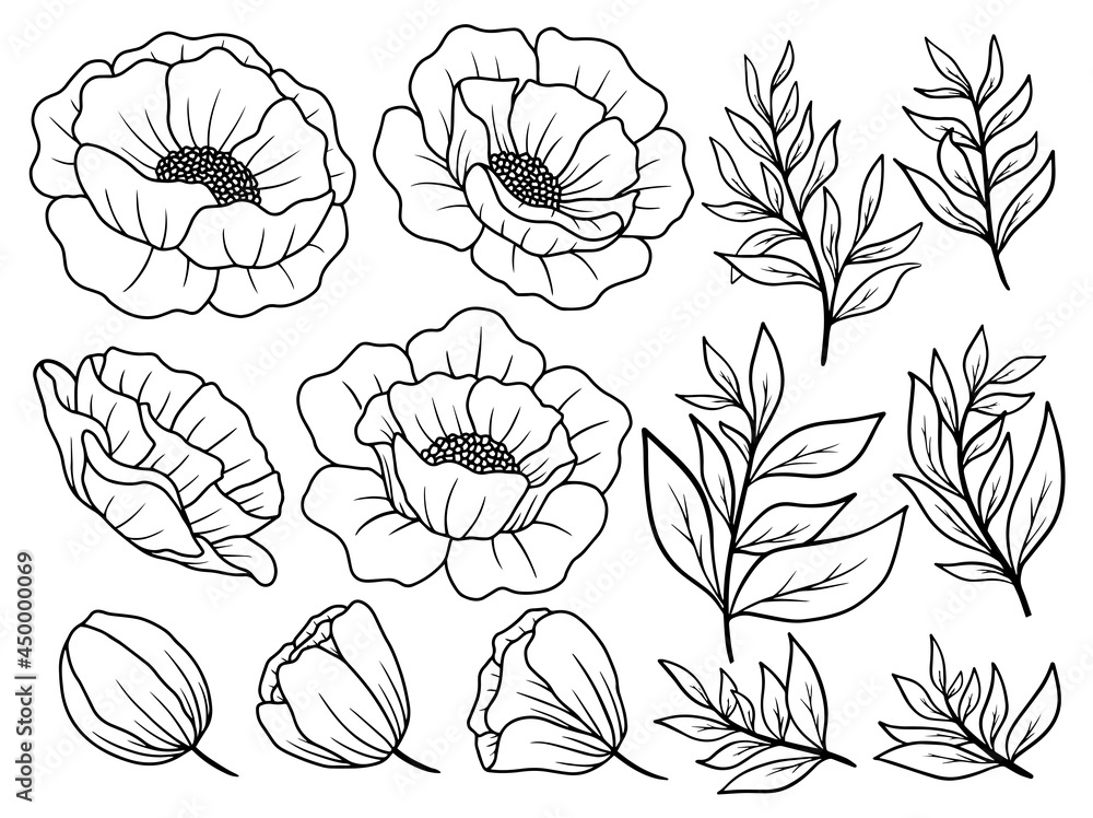 Hand drawn flower sketch line art illustration set. Hand drawn flower sketch line art illustration set.