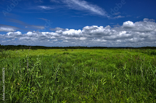 白い雲の浮かぶ青空の下の緑の草原。 © Masa Tsuchiya