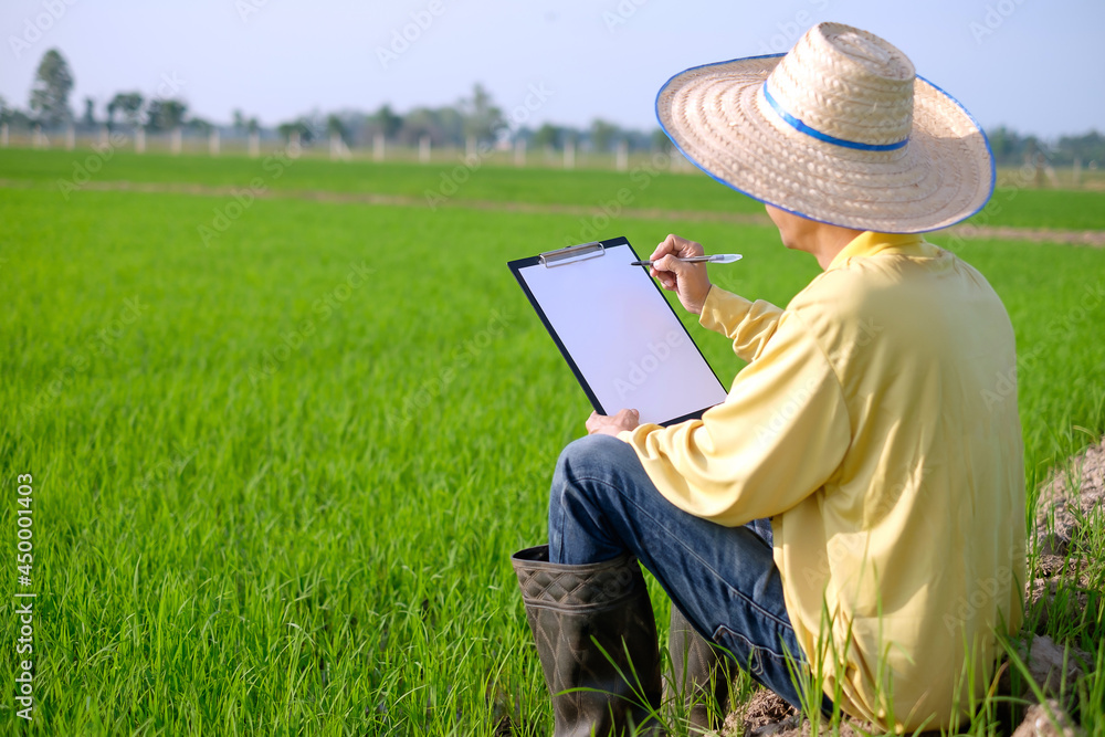 A farmer wearing a yellow long-sleeved shirt is sitting in a field holding a note board with blank paper. A farmer wearing a yellow long-sleeved shirt is sitting in a field holding a note board with blank paper.