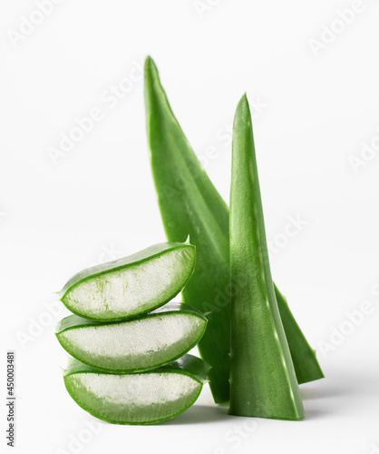 Aloe vera plant leaves and slices isolated on white background. Aloe vera for natural cosmetics and alternative medicine.