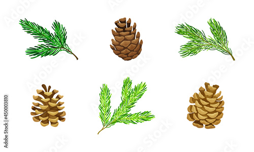Pine Tree Evergreen Branches and Cones Vector Set