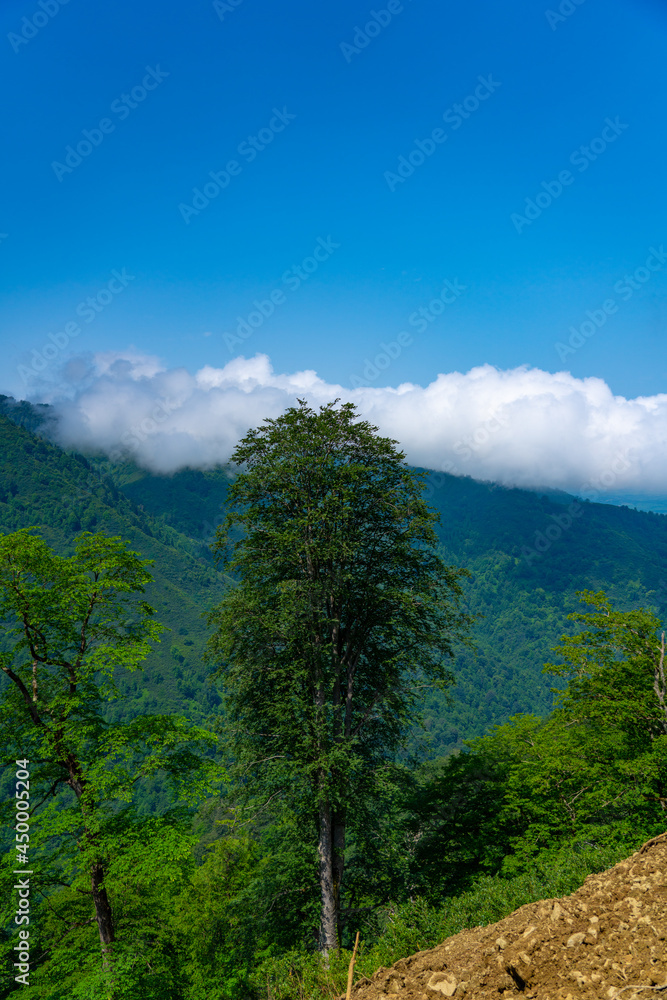 Gomis Mta, Guria region, Georgia