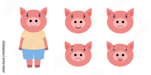  different emotions of pig