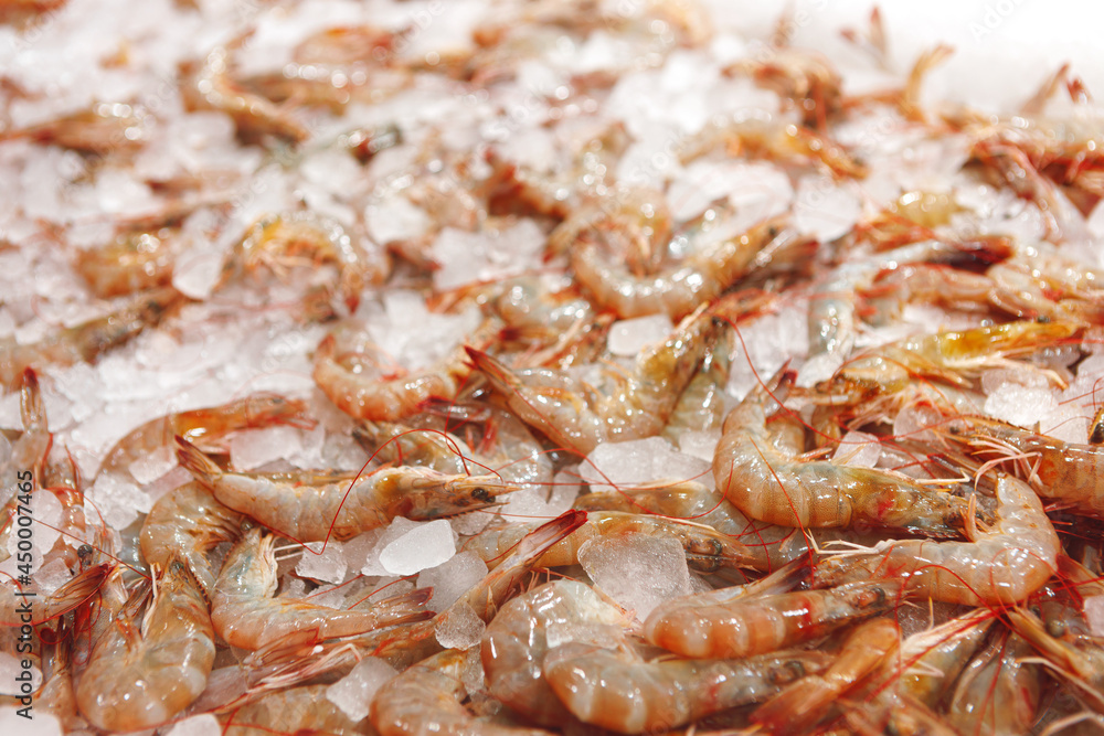 Fresh raw shrimps close up lying on ice in supermarket