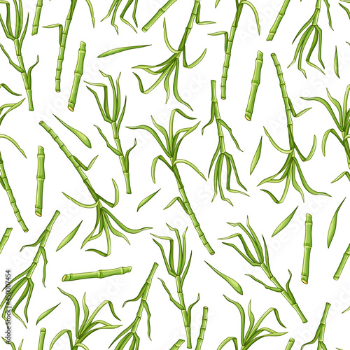 Green sugar cane on a white background seamless pattern. Vector background