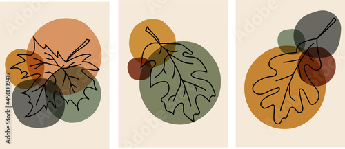 Collection of modern artistic autumnal abstractions with sketch of leaves (canadian maple and oak) hand drawn in black line with geometric shapes (circles) on a beige background