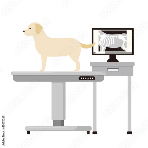 レントゲン写真と診察台に乗る犬