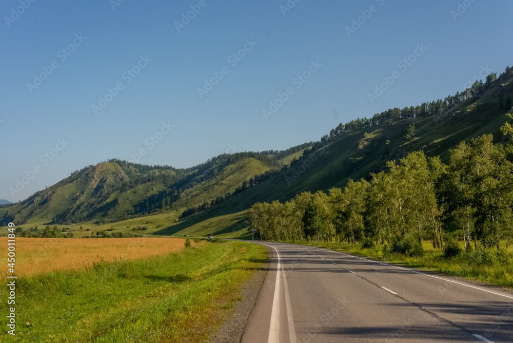 Paved Road in the Altai Mountains