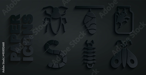 Set Centipede, Spider in jar, Worm, Butterfly, cocoon and Cockroach icon. Vector