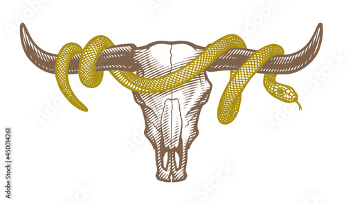 Bull skull and snake. T-shirt print design. Vector illustration.