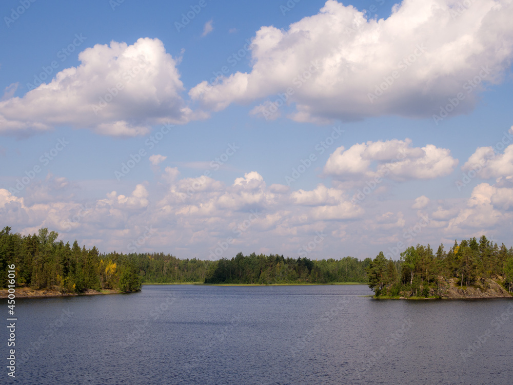 clouds on a forest lake