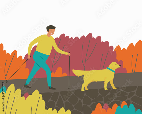 The man walks with a Scandinavian gait. A leisurely walk in the park with a Labrador dog. Autumn nature. Active lifestyle. Flat vector illustration.