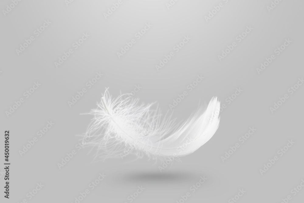 Abstract Light Fluffy A White Feather Falling in The Air.