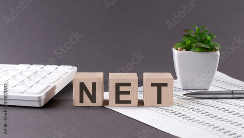 Concept word NET on the wooden blocks on the gray background from green flower and chart.