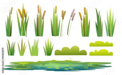 Set of plants and a objects. Grass, shrubs, reeds and cattails. Small swamp, pond, lake or puddle. Isolated on white background. Miltic design flat style. Illustration vector