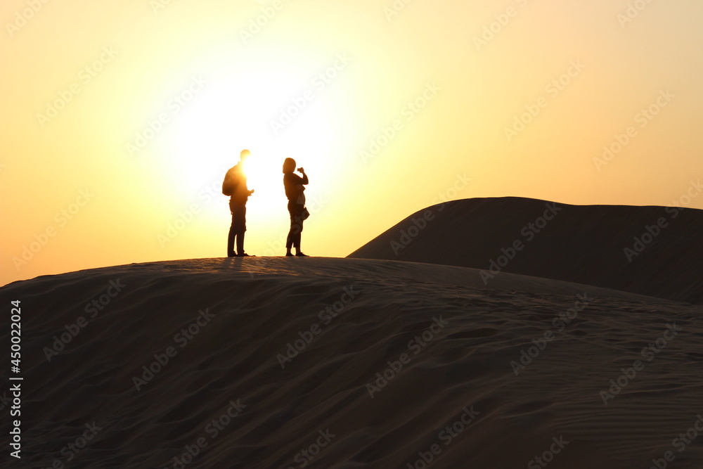 Sunset in the Desert 