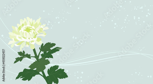 上品な菊の花の背景イラスト