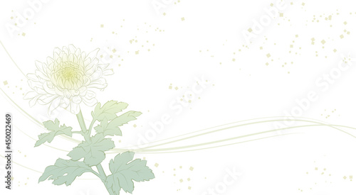 上品な菊の花の背景イラスト