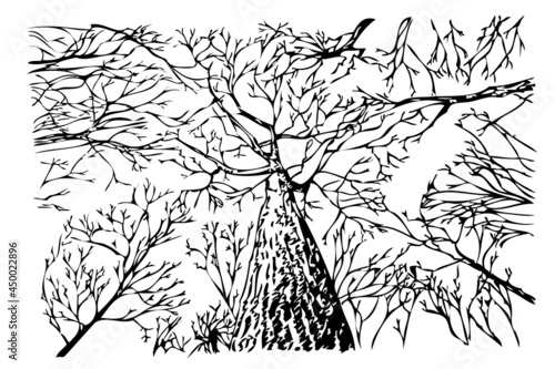 Vector Manual Draw Sketch, dead tree