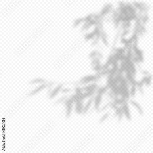 Realistic Vector transparent overlay blured shadow of branch leaves.
