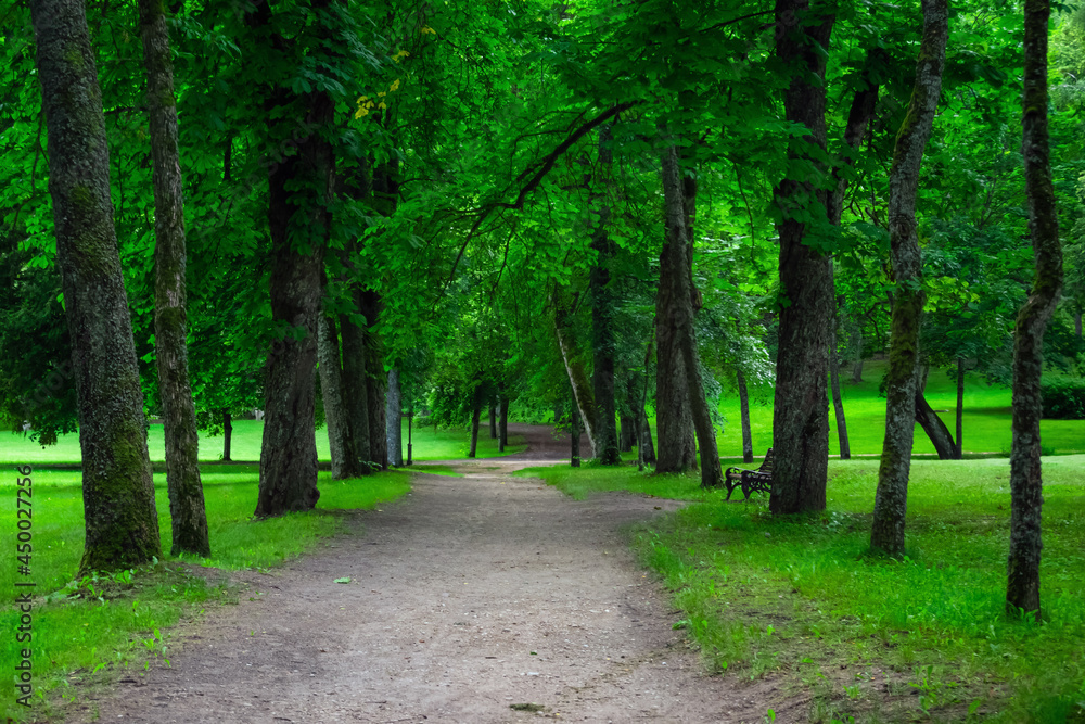 Path in public park surrounded by lush green woods on a sunny day. Beautiful road in the city park. Nobody Path in public park surrounded by lush green woods on a sunny day. Beautiful road in the city park. Nobody