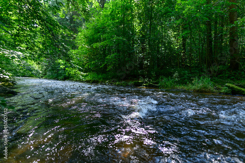 river lainsitz near weitra in the lower austrian region waldviertel photo