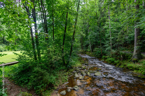 river lainsitz near weitra in the lower austrian region waldviertel photo