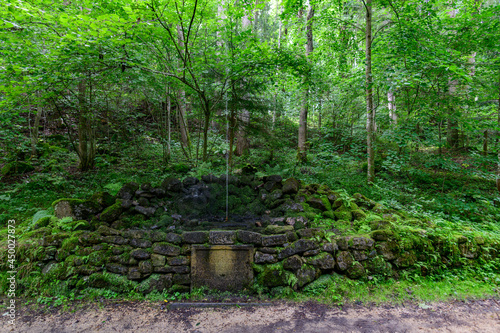 artesian well in a forest near weitra in the lower austrian region waldviertel photo