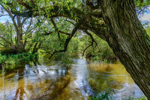 river lainsitz in the lower austrian region waldviertel photo