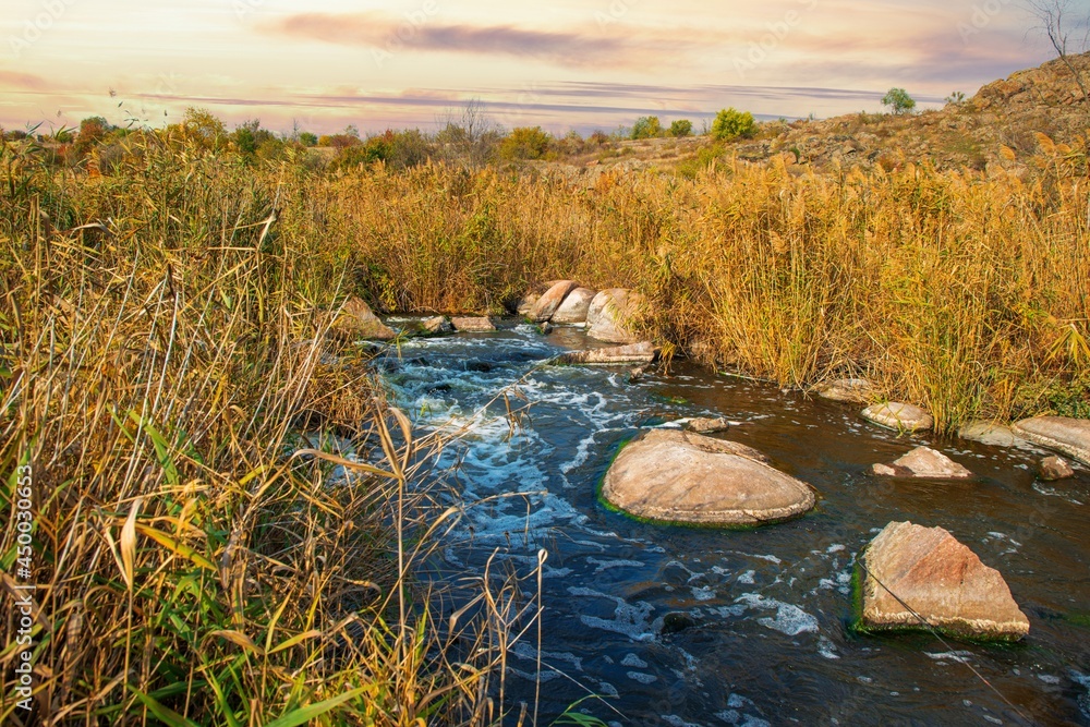 Naklejka premium A fast clean stream runs among smooth wet stones surrounded by tall dry lumps