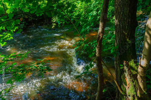 river lainsitz near weitra in the lower austrian region waldviertel photo