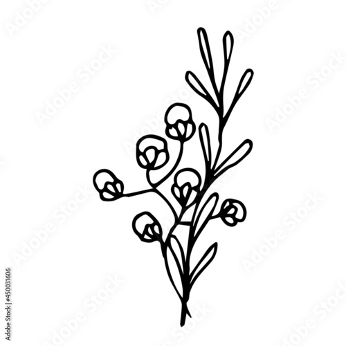 Doodle wind wild berries on a bush. Vector plant on a white background is isolated