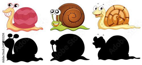 Set of different snails with its silhouette on white background