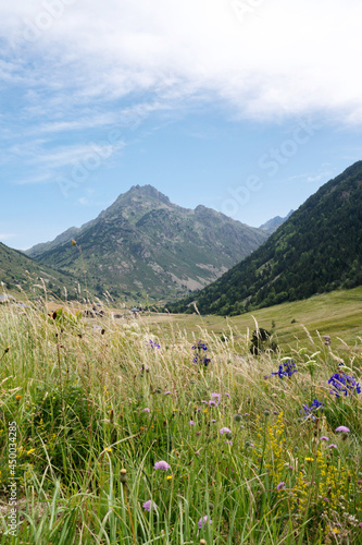 Mountain landscape in Pyrenees © sashapritchard