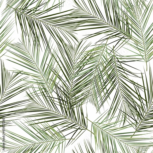 Fashionable seamless tropical pattern with tropical palm leaves on a white background. Beautiful exotic plants. Trendy summer Hawaii print. Line stylish floral.